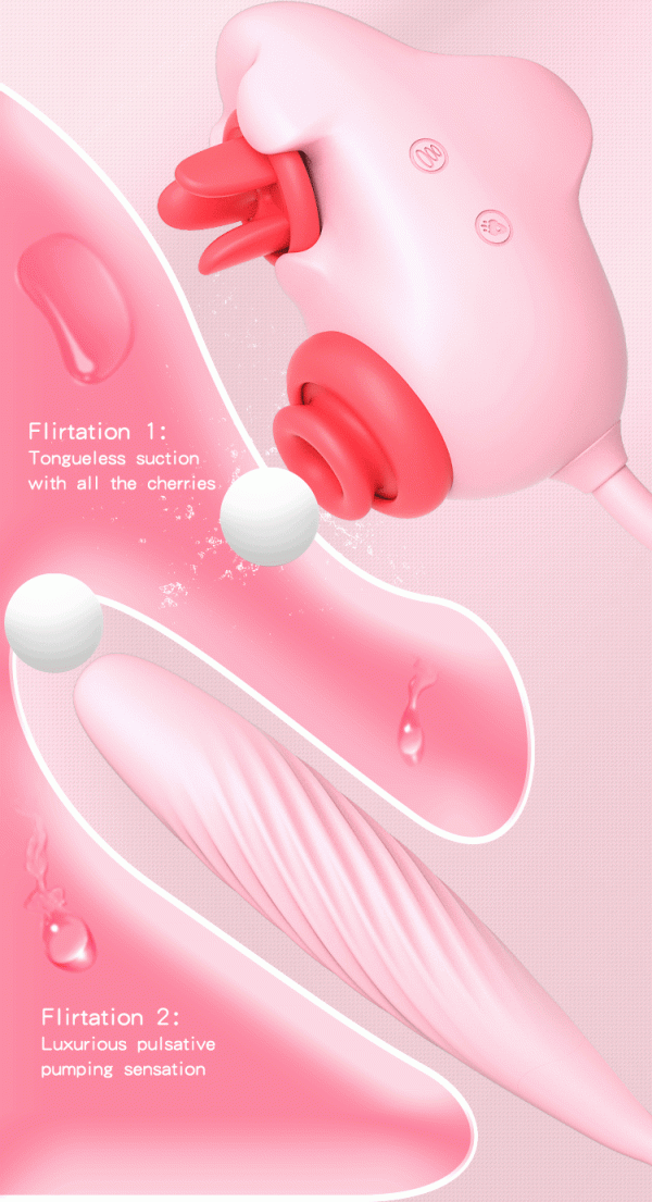 A61 - Image 4